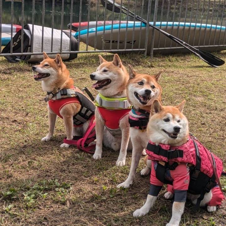 Aa3cecc5 8258 4b6b 8356 eee487775dd5 1727665992072