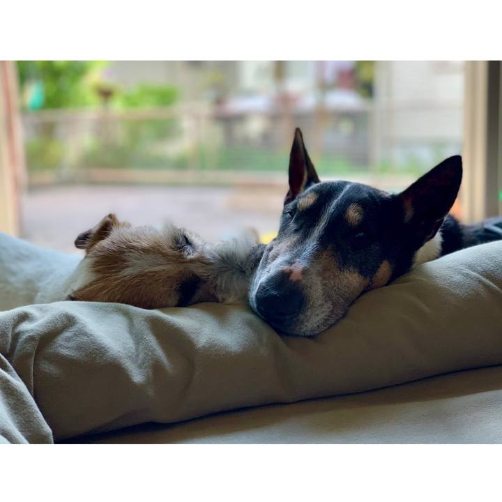 Aa3cf127 d41e 4cfc a9e3 07d66f3f19c8 1619761269791