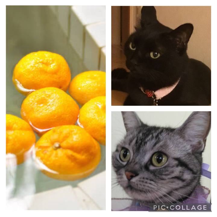 Aa3d13a7 551d 46f5 ac54 f7b147be76d2 1764913594559