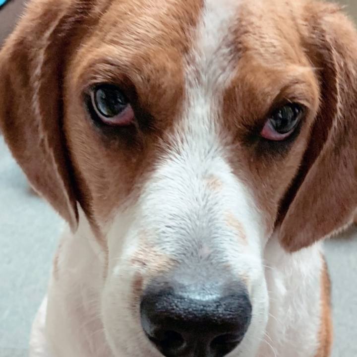 Aa3d1a92 efd3 4259 b718 a0d5e0f080be 1655637966654