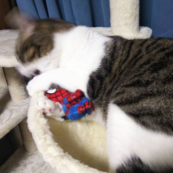 Aa3d4c18 18fe 4701 8cac 64fd1df45c0e 1636372133939