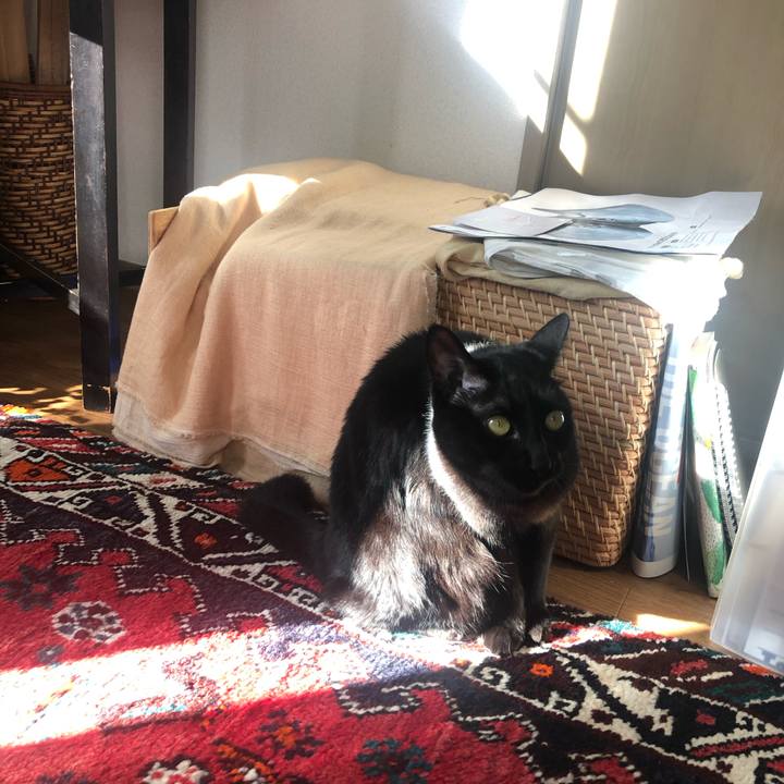 Aa3d5e81 1083 4e99 bde4 8ec93fa1895a 1605920928622