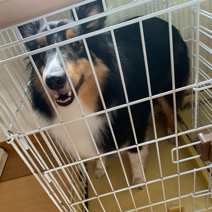 Aa3d9781 aadf 4eeb ab04 e4ef00cbb9e7 1593382522754