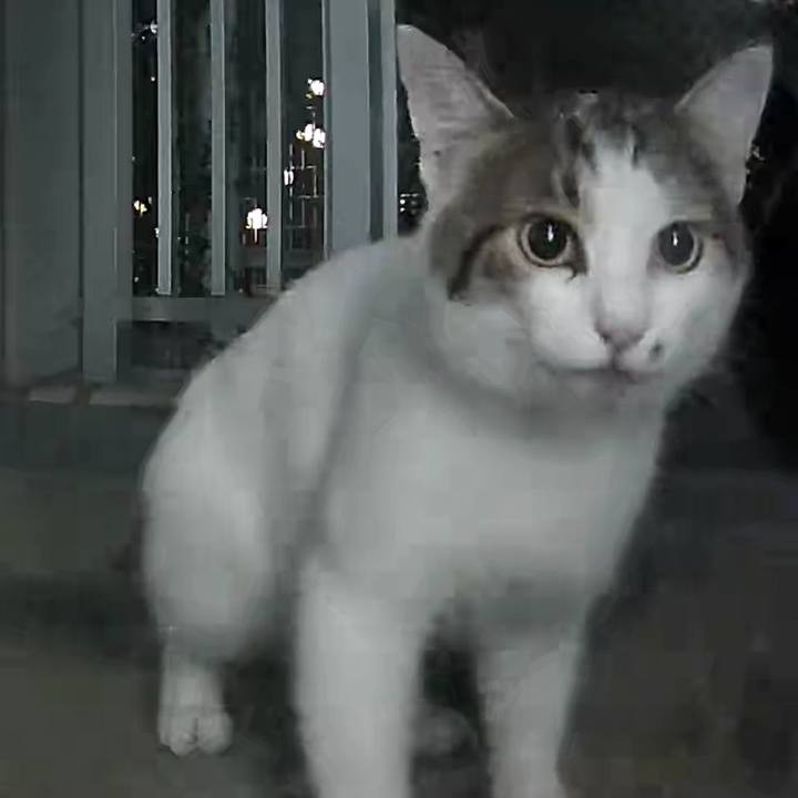 Aa3da3a3 a482 4915 b9d3 236c8377fcab 1739791823335