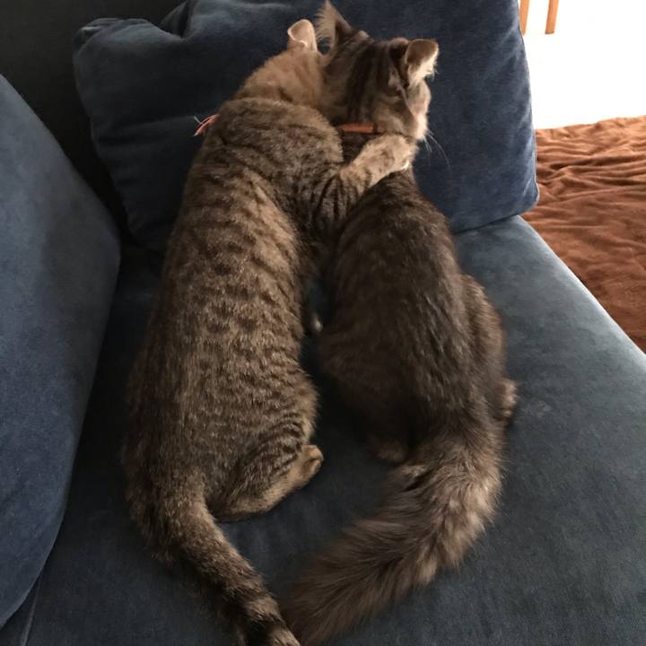 Aa3dbcdd f4c2 47b9 bbb9 fc78accecbcc 1579997349414