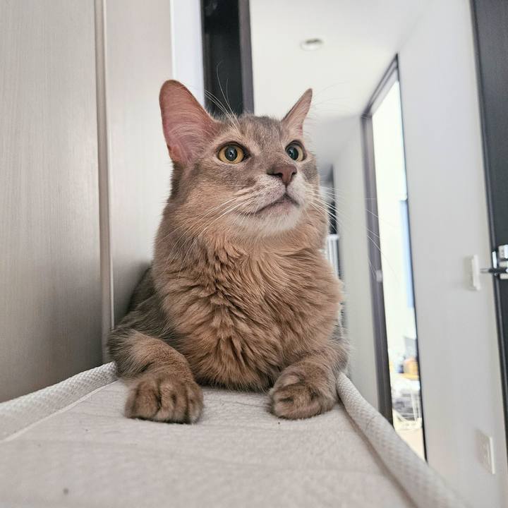 Aa3dbe77 1123 47fe 812c 123f511b28de 1760490770004