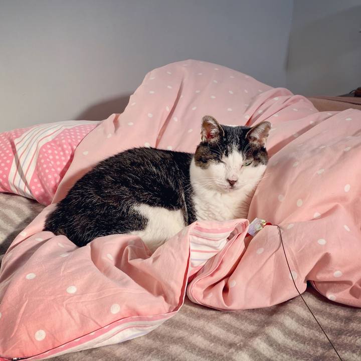 Aa3dc6ff cbad 463a 92c3 eaf334f98c8d 1586159124568