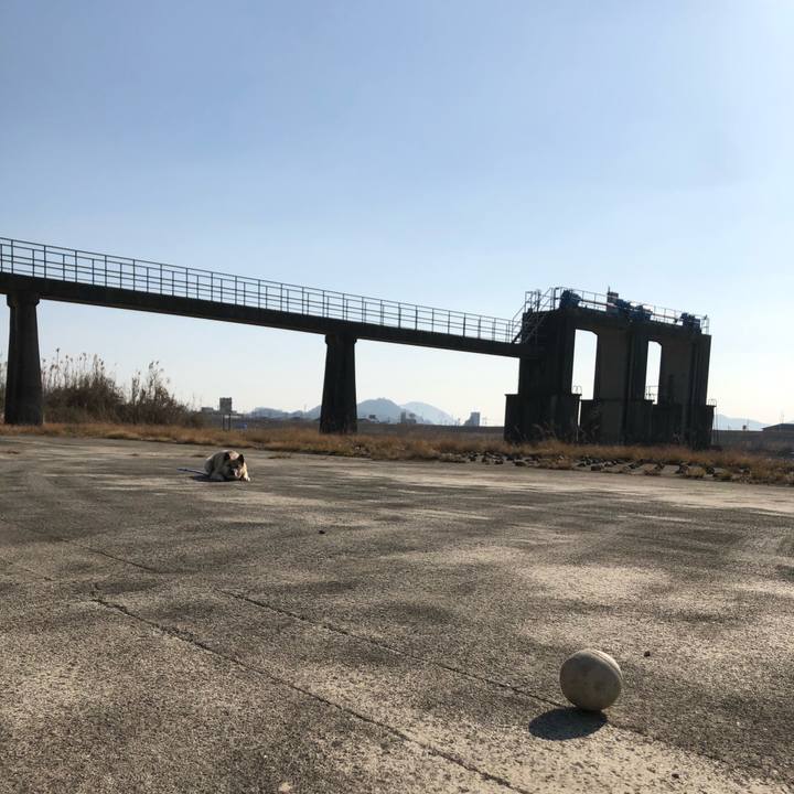 Aa3dcace 0f1b 4d4c aaba 0a93f334b0cb 1612094376493