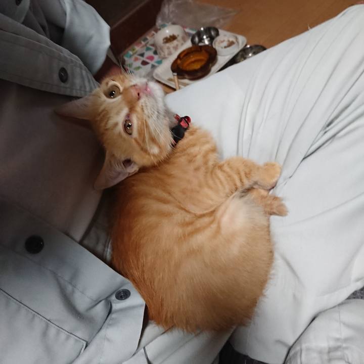 Aa3e296e fd03 45b3 8e4f 1987e23cebb1 1630832459417