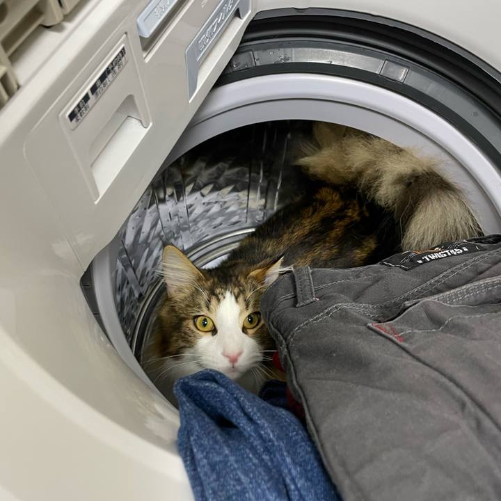 Aa3f00cf 5a13 44e0 ad47 ab6902cad6b4 1645915715771