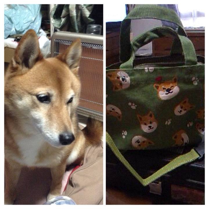 Aa3f0718 19a1 46e6 bb3e 984a99bbb6b7 1517909391923