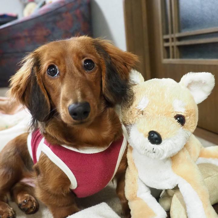 Aa3f1b5d 64c9 437b 851a d727e7188efd 1705650240402