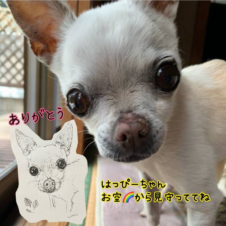 Aa3f286e 27ab 4dc8 a43a 39ea8d8c9fb8 1640862448513