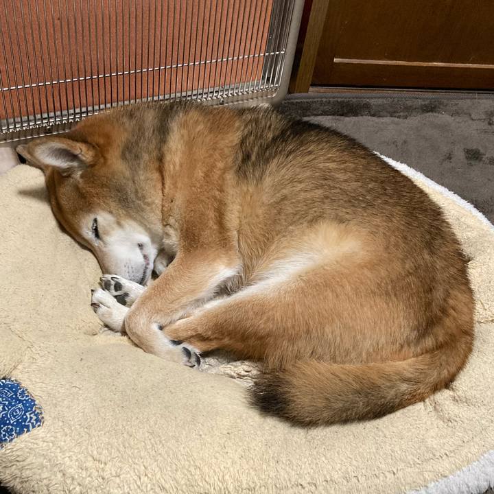 Aa3f50c9 edb0 4074 871f c6f4629684e5 1701605875482