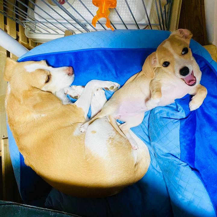 Aa3f563d 5ee9 4bd7 8b10 5431bb293783 1664171953190