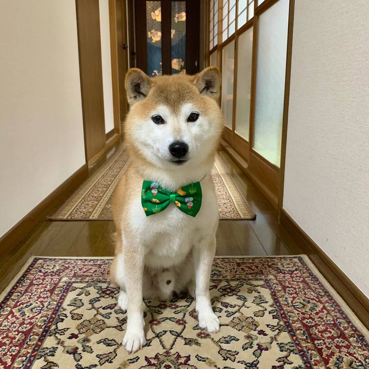 Aa3f7883 a18f 431d 84aa 9d6a9c349554 1670838408395