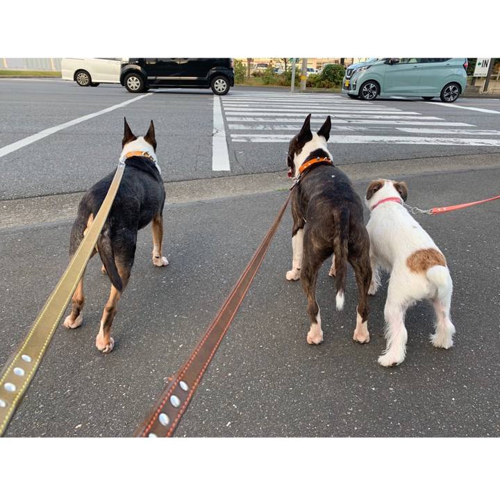 Aa3f9282 03eb 40d8 ae77 398ae0db2798 1600257542664