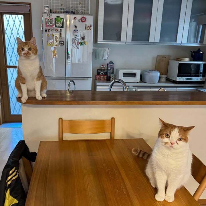 Aa3f98c0 5849 443b 8e7c 15ba23108a60 1769389239289