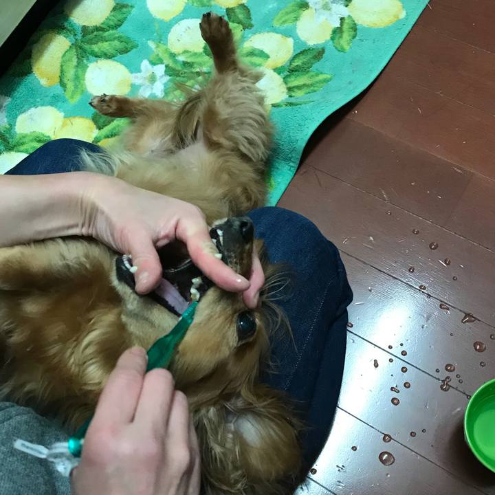 Aa3fcacb cceb 4f07 8d25 b9a83346ee88 1510919737391