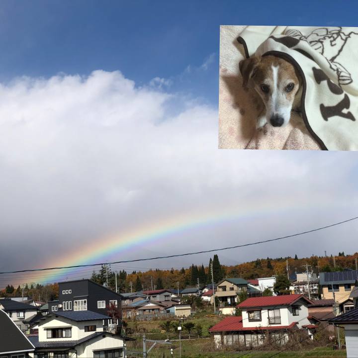 Aa3fcdf0 3e7f 4f8d 8725 562f04c5a839 1573726548735