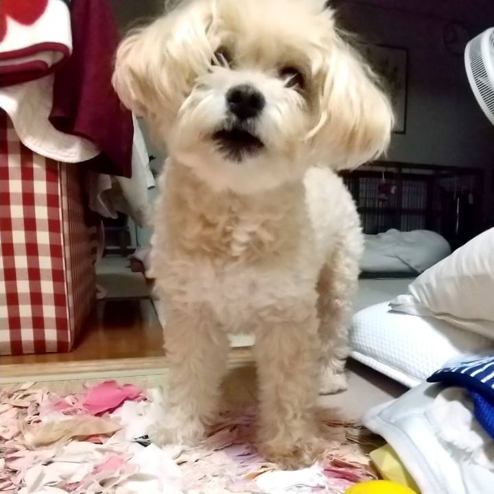 Aa3fce11 b1f4 4a4a a665 aeaa17a9945b 1596291296136