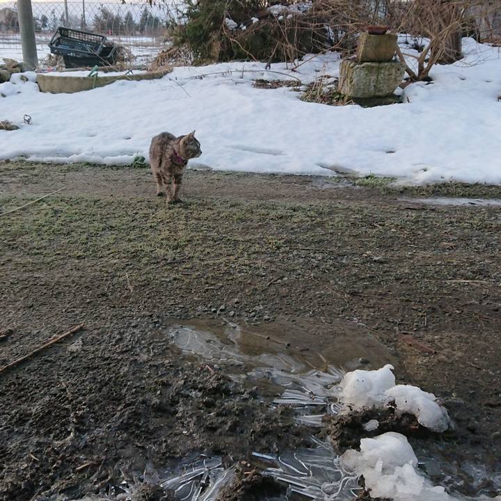 Aa3fdc2f 2aeb 4c00 b7d7 64f7feb1bdf8 1582235138374