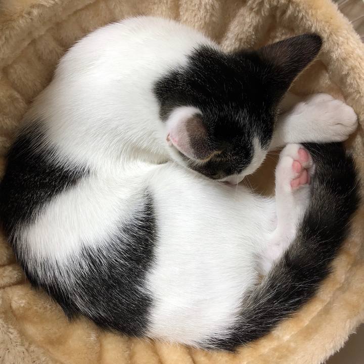 Aa402df4 ee2f 413d a38e 9606da22ca9e 1567681088774