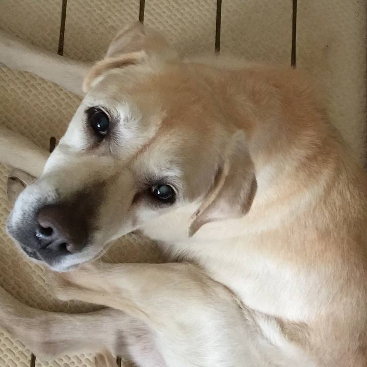 Aa4042a0 015e 403f 9de3 9f62672dfe29 1527993655782