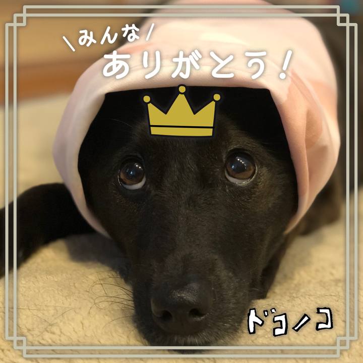 Aa4070a7 6082 440d a98a 93ef9d111a09 1622853154731