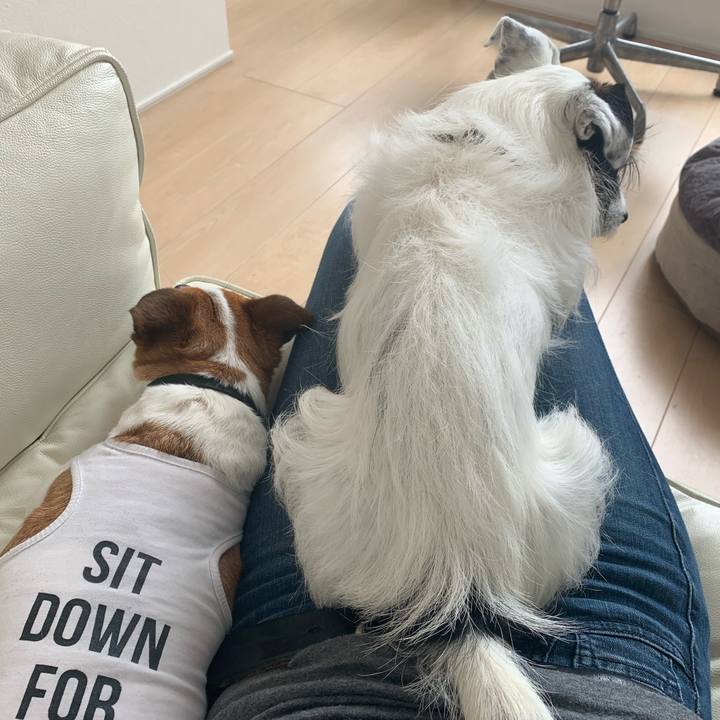 Aa408eb3 c8a9 4852 b506 26cf1e17ba8d 1589079851242