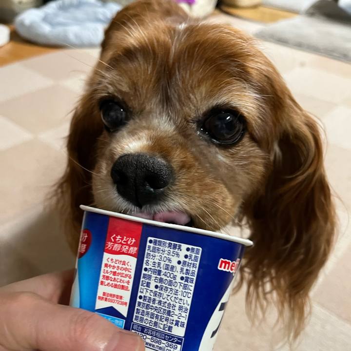 Aa40906e 461d 46de 8cba c54948eaa8a0 1724711533296