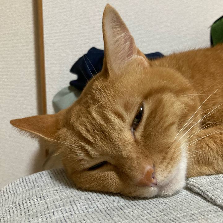 Aa40a4a4 046a 429e bbef 88957c7ab138 1762956361033