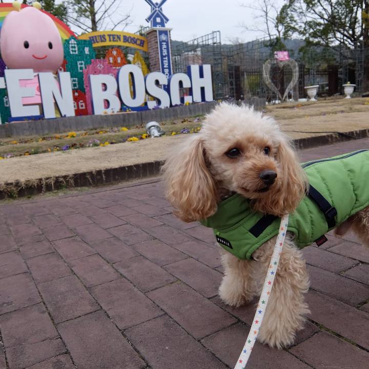 Aa40dbd4 b967 4752 b208 75574fe98d28 1579509632579