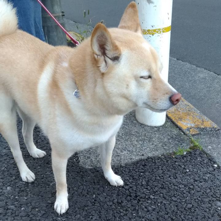 Aa4124fd a65f 4ad5 8f38 a327bd516a16 1605393214988