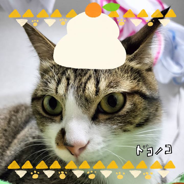 Aa413188 543d 4ed1 8693 ae8b7ac3c157 1704167844690