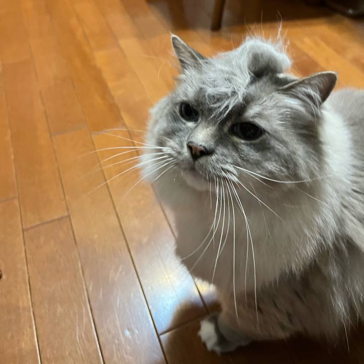 Aa413e9d 1ed5 4a98 bbf8 b602d0fe03b9 1652442143466