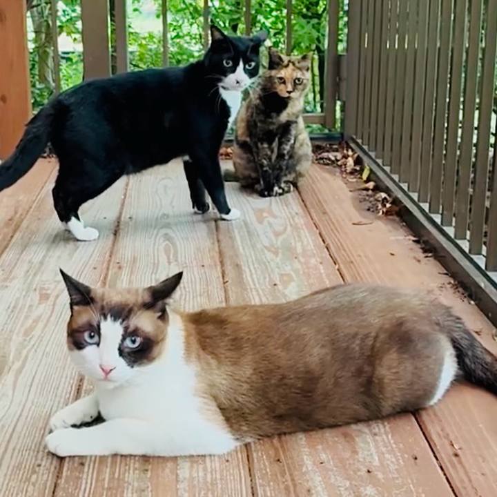 Aa414118 1d1a 45ab 8ec5 2f7ca097c48e 1754272852225