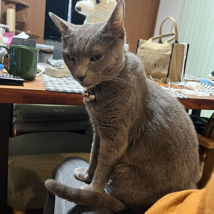 Aa4142aa 5ca5 4455 b3a0 d103f87a5615 1708677353397