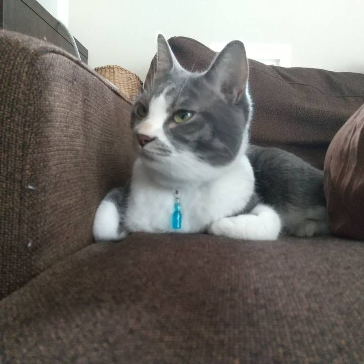 Aa4150dd 85be 4ee7 b7ab 69f977fe691c 1630986084622