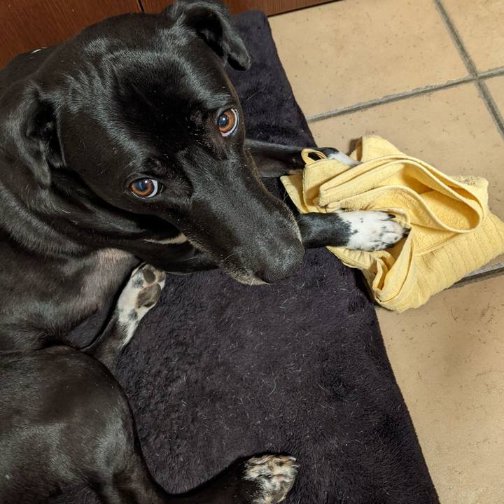 Aa418996 cdc2 44da b49e 7b7cd500cd8f 1646909736694