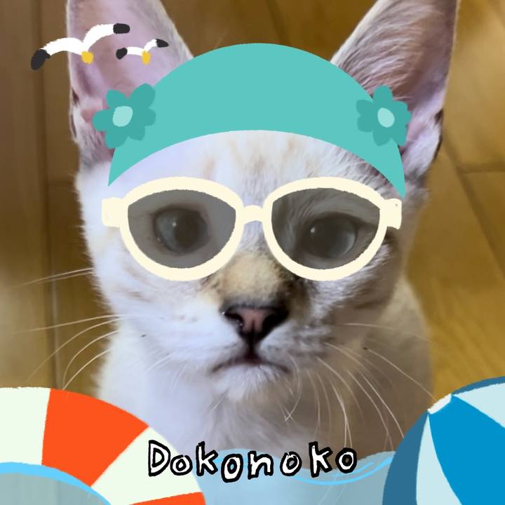 Aa41b987 28bd 44a3 8b1a 83e9f04107d4 1723295127015