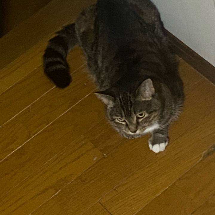 Aa422bc9 6061 40fb 869b 1fb04d99871b 1750932457089