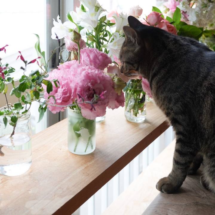 Aa423754 7672 41cb a4b3 3d035feffc66 1746316948699