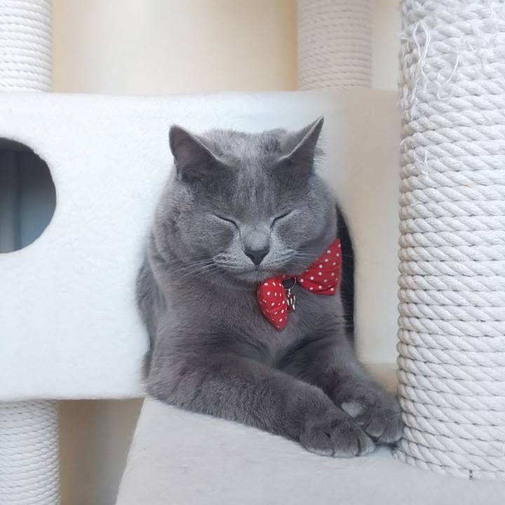 Aa4268d3 e433 4349 95b6 c71bcbcba250 1549240368297