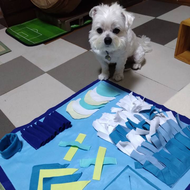 Aa4289b4 6121 4277 8f3d 8c4ad052fbb3 1680856611477