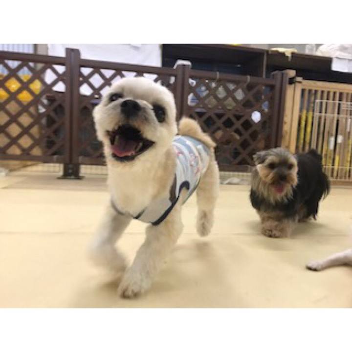 Aa42af51 9b61 4bbc 9989 b017da0ecf37 1563447370079