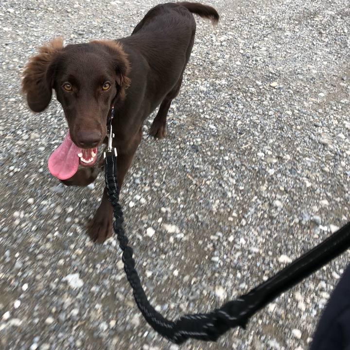 Aa42ea06 bf4c 41ed 9a51 ee7473d43b46 1561718538785