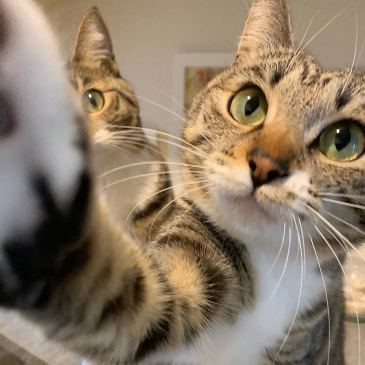 Aa42ef48 856f 496e aa9b 73b322201338 1552956811877