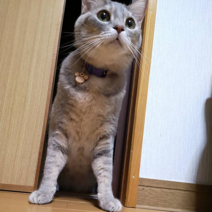 Aa42fc98 878f 450f 9c50 74de18384480 1576767367051