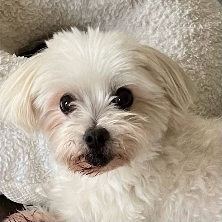 Aa430ba7 d6d7 40a5 b25b 5e1ec8399365 1691798099177